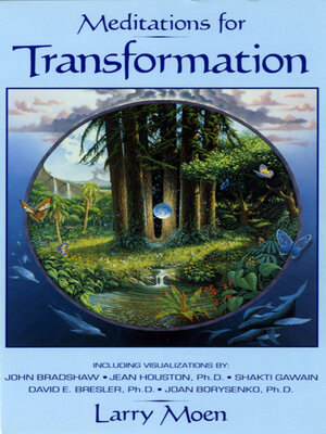 cover image of Meditations for Transformation